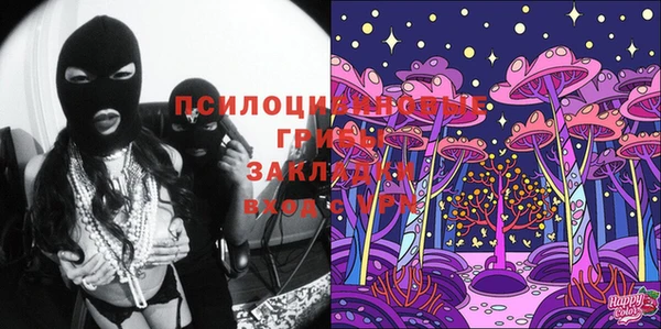 ПСИЛОЦИБИНОВЫЕ ГРИБЫ Алексеевка