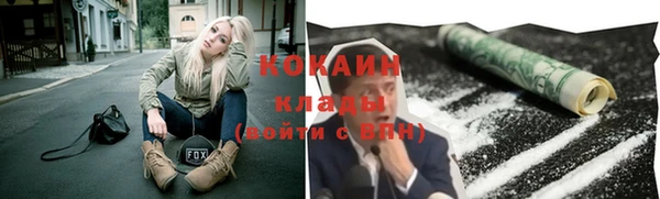 стаф Алзамай