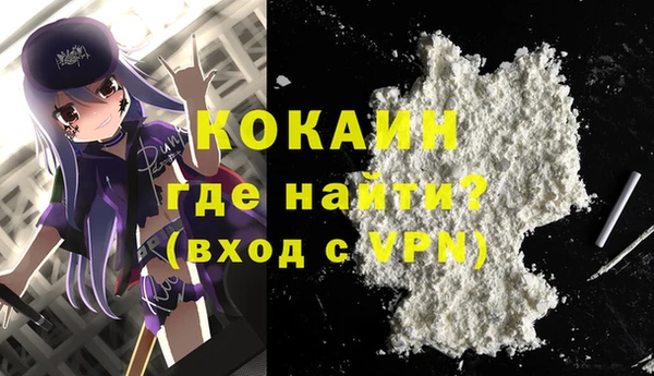 стаф Алзамай
