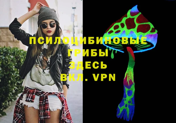 ПСИЛОЦИБИНОВЫЕ ГРИБЫ Алексеевка