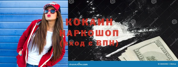 стаф Алзамай
