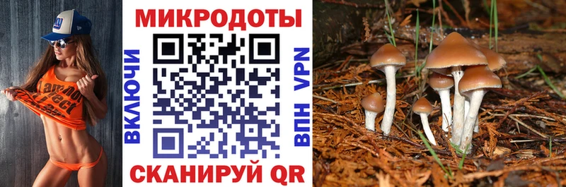 хочу   Чехов  Псилоцибиновые грибы Psilocybine cubensis 
