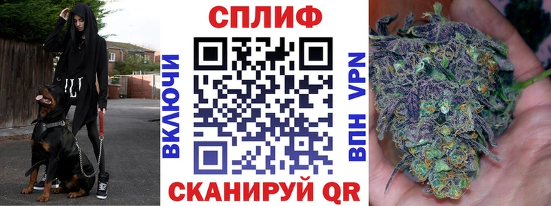 Конопля планчик Чехов